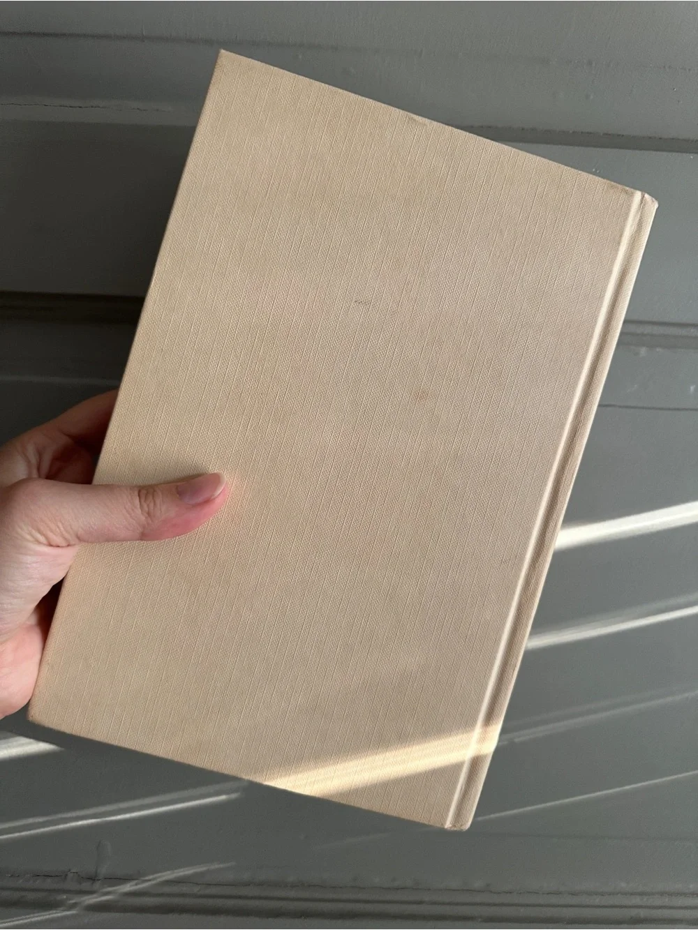 Z: a Novel of Zelda Fitzgerald by Therese Fowler